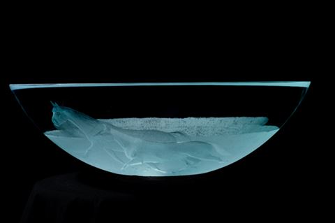 Etched Glass Vessel Sink - Horses