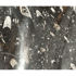 Shell Fossil Vessel in Noir - Set of 2 259/279